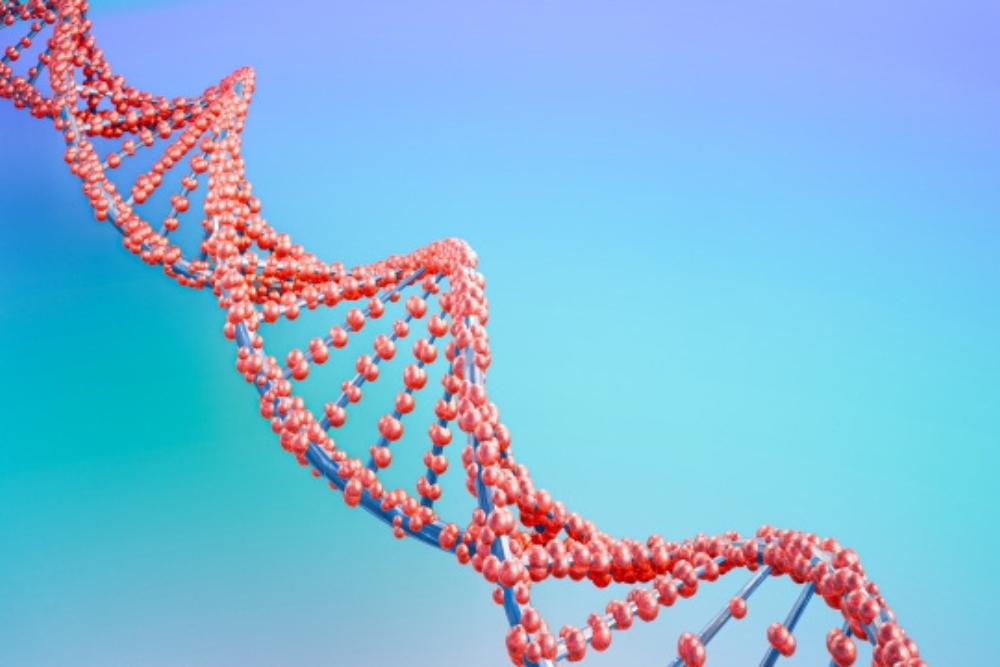 ”一般社団法人日本再生医療促進協会”